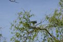 2019-04-18 15-52-54 Parc de la Courneuve DLe